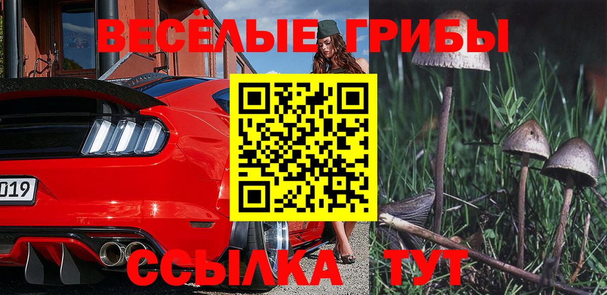 Псилоцибиновые грибы прущие грибы Азов