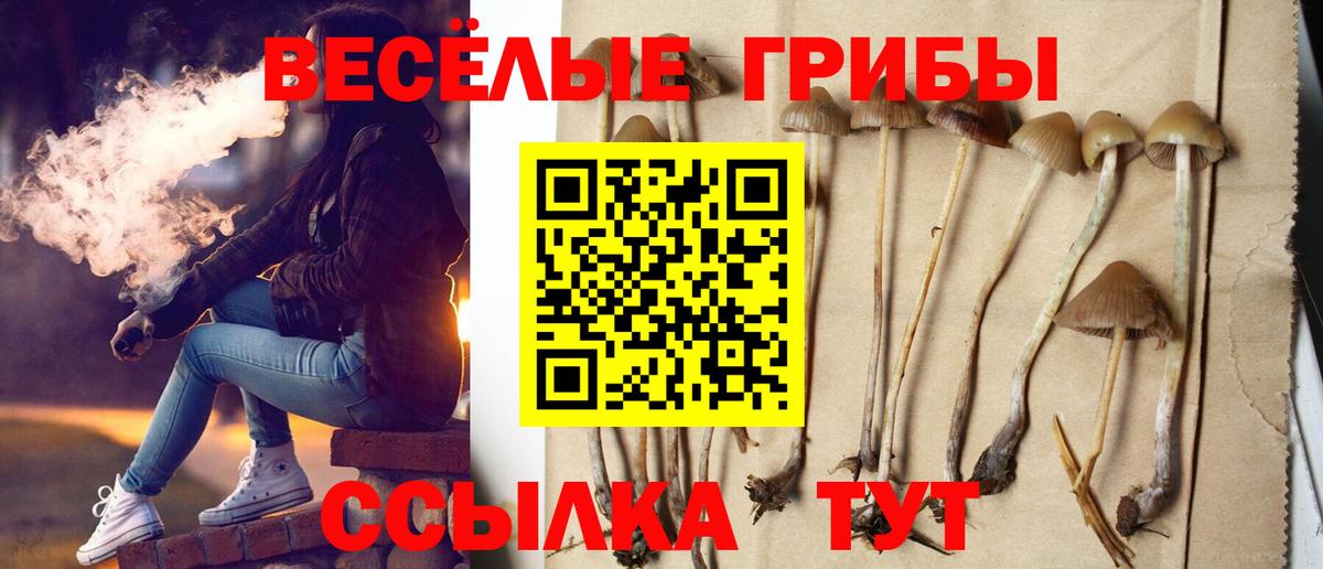 Псилоцибиновые грибы Cubensis  Вход с VPN  Азов 